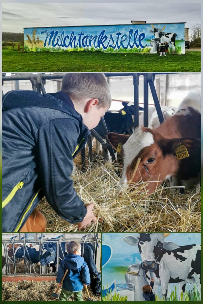 Mit Kindern in der Milchtankstelle Klobikau, bei den Kühen im Kuhstall, Ausflüge Saale-Unstrut mit Kindern