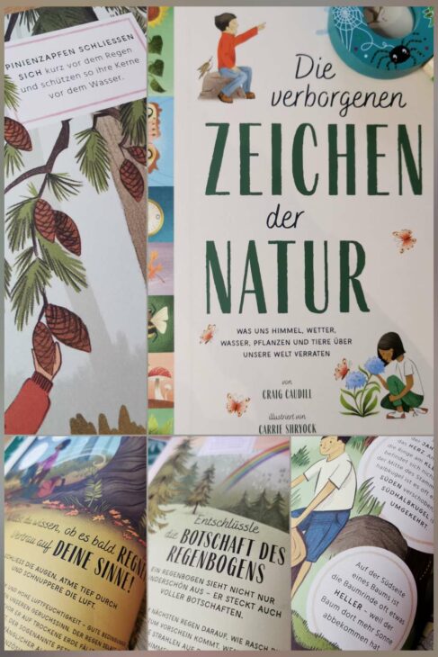 Buchempfehlung Naturbücher für Kinder, Die verborgenen Zeichen der Natur