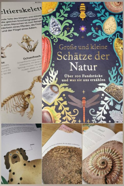 Buchempfehlung Naturbücher für Kinder, Schätze der Natur