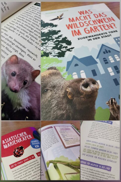 Buchempfehlung Naturbücher für Kinder, Was macht das Wildschwein im Garten?