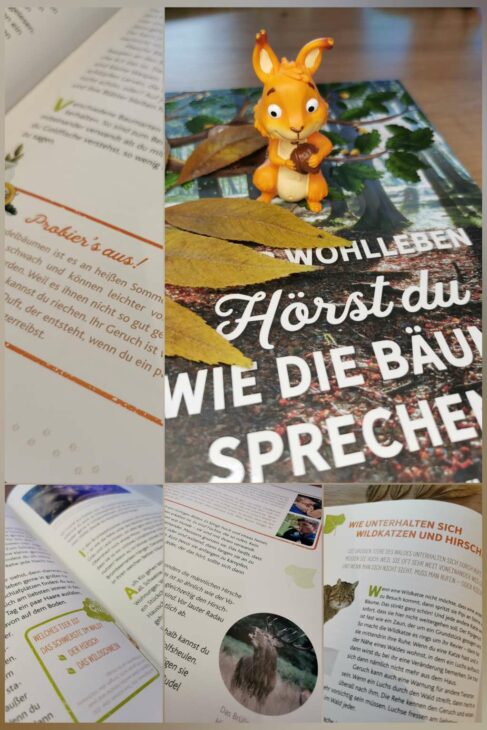 Buchempfehlung Naturbücher für Kinder, Hörst du wie die Bäume sprechen?