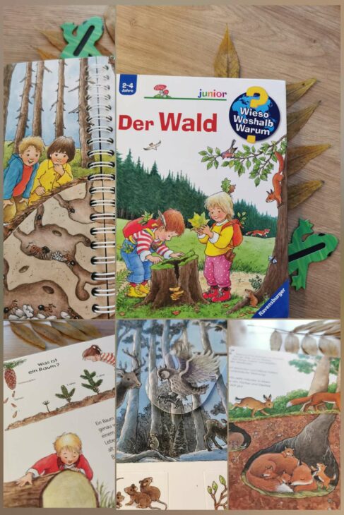Buchempfehlung Naturbücher für Kinder, Wieso Weshalb Warum Der Wald