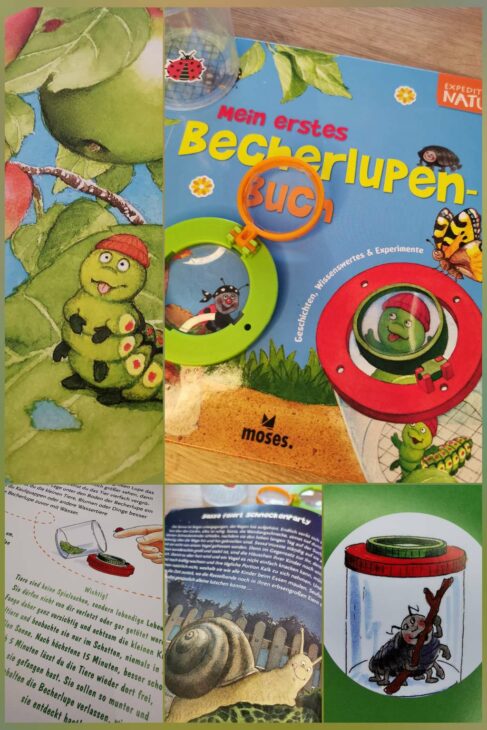 Buchempfehlung Naturbücher für Kinder, Mein erstes Becherlupenbuch