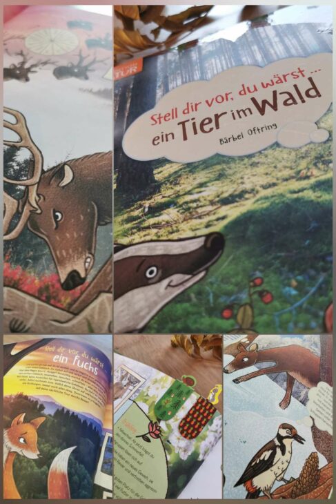 Buchempfehlung Naturbücher für Kinder, Stell dir vor du wärst ein Tier im Wald