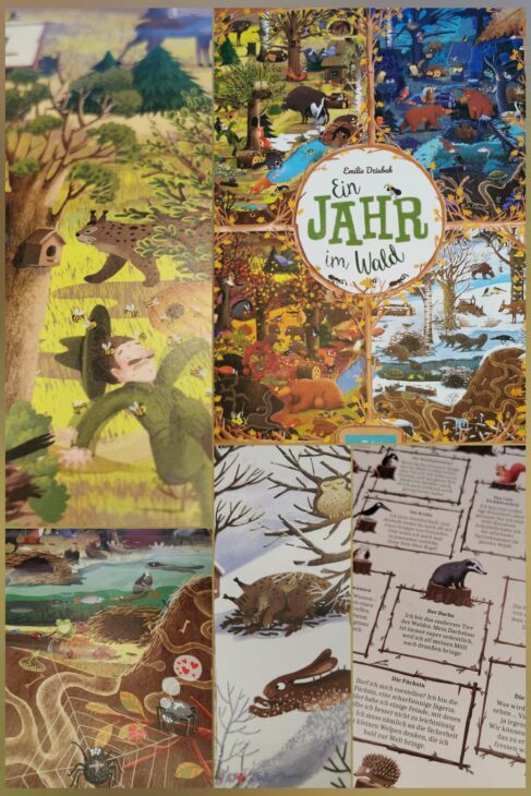 Buchempfehlung Naturbücher für Kinder, Ein Jahr im Wald