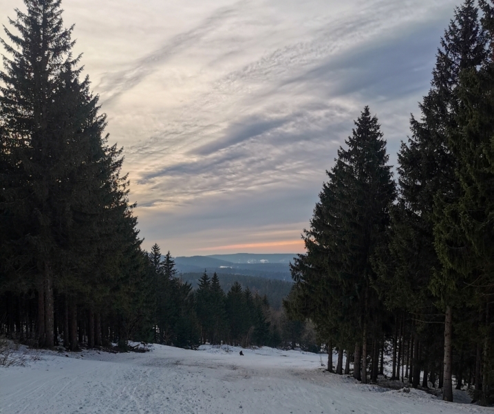 Rodeln mit Kindern im Harz