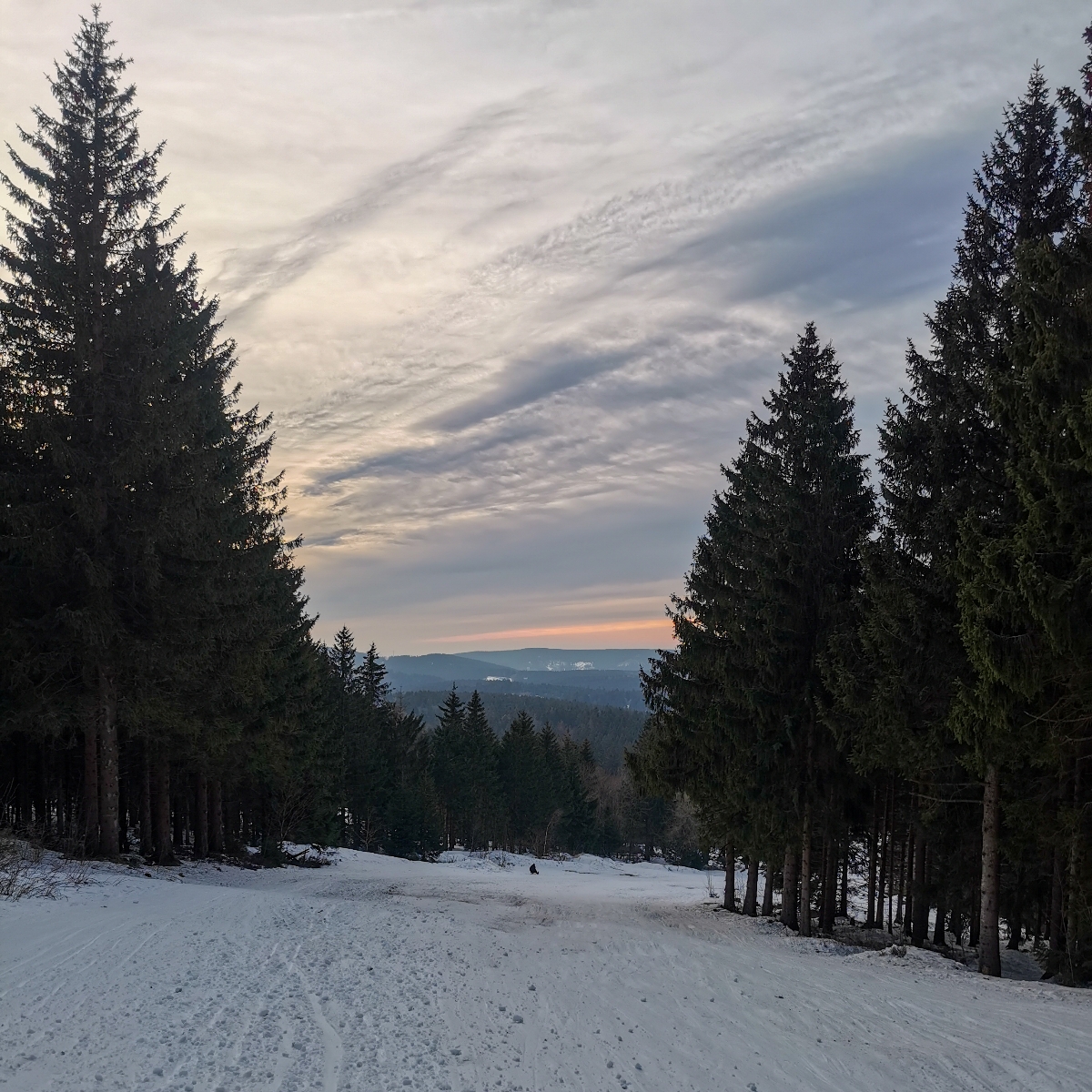 Rodeln mit Kindern im Harz, Familienkurzurlaub, Schneelandschaft Harz